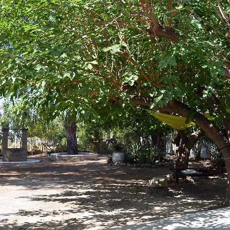 Spitaki - House With Garden By The - Nyaraló *
