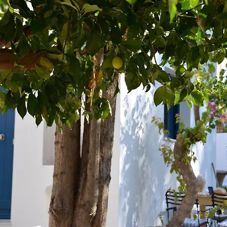 Spitaki - House With Garden By The - Vakantiehuis Pefki